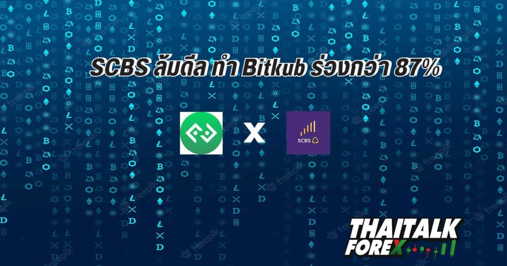 Bitkub ร่วง