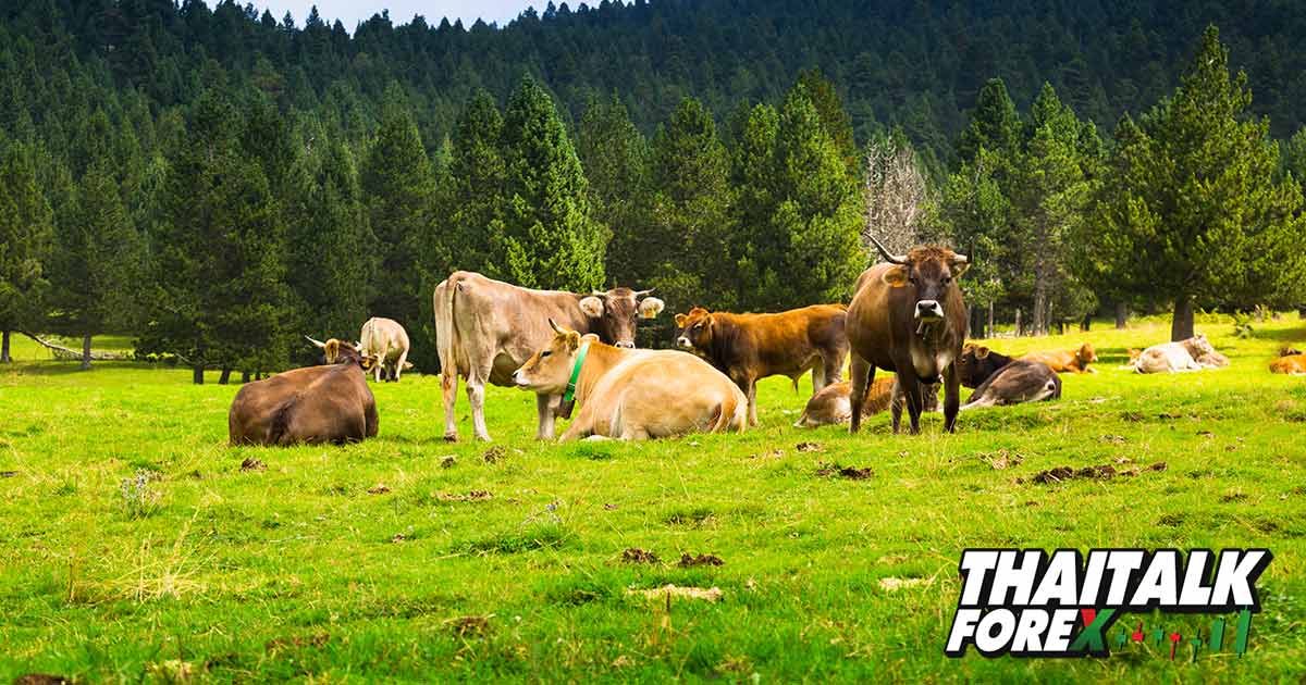 นักลงทุนฟาร์มและอาหารสูญเสียกว่า $150 จากสภาพอากาศเปลี่ยนแปลง